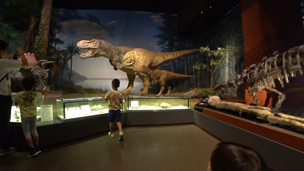 こどもとマンモスや恐竜を見たり トランポリンで遊ぶ ミュージアムパーク茨城県自然博物館 佐原瑠能の記録