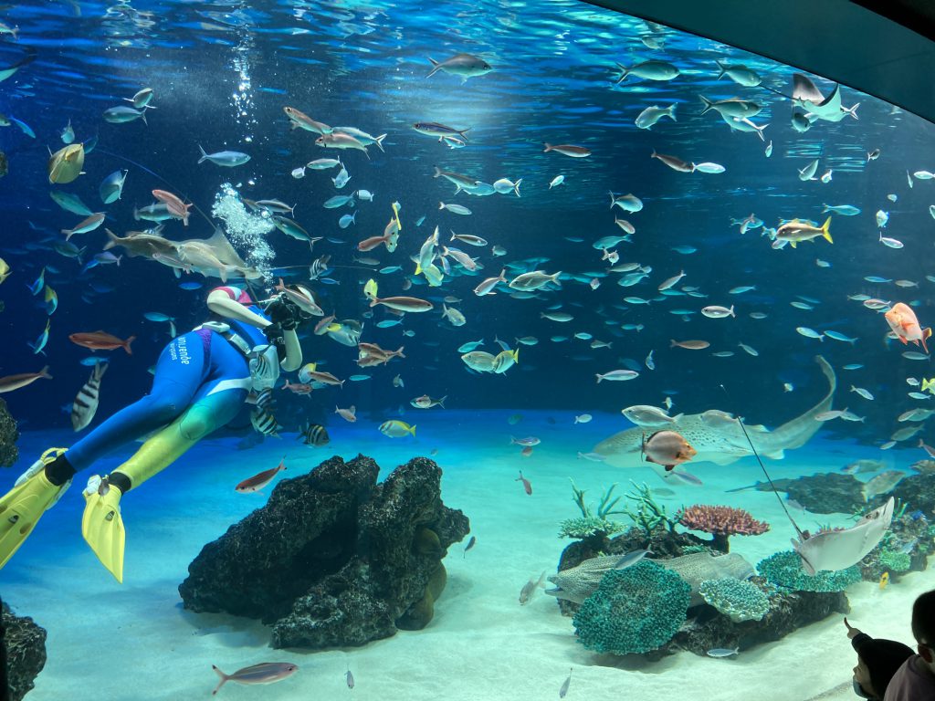 こどもと水族館に行く 埼玉から車で行ける水族館 佐原瑠能の記録